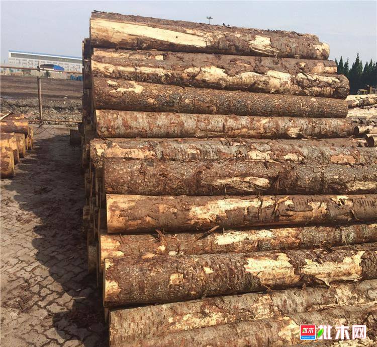 批木网anywood.com