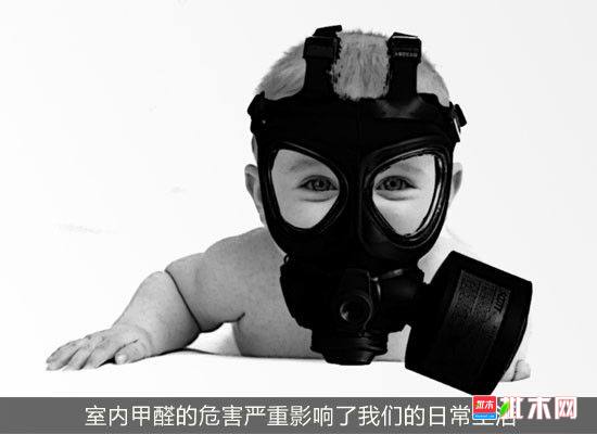 批木网 anywood.com