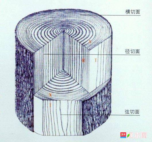 批木网 anywood.com