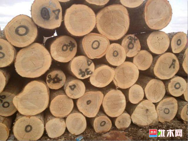 批木网 anywood.com