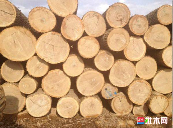 批木网 anywood.com