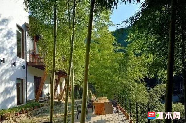 批木网 anywood.com