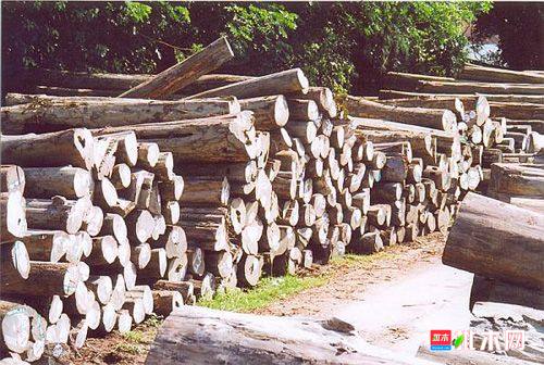 批木网 anywood.com