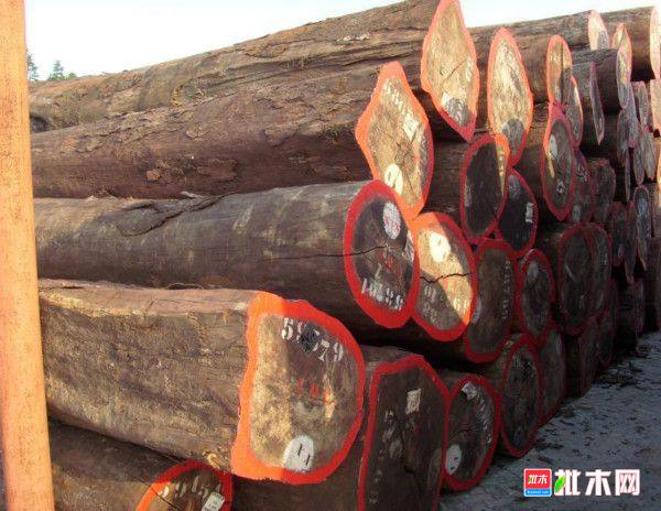 批木网 anywood.com