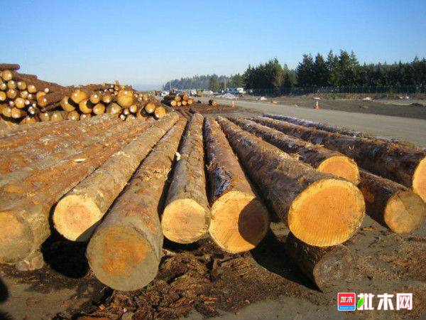 批木网 anywood.com