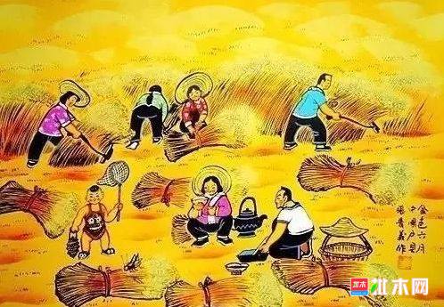 批木网 anywood.com