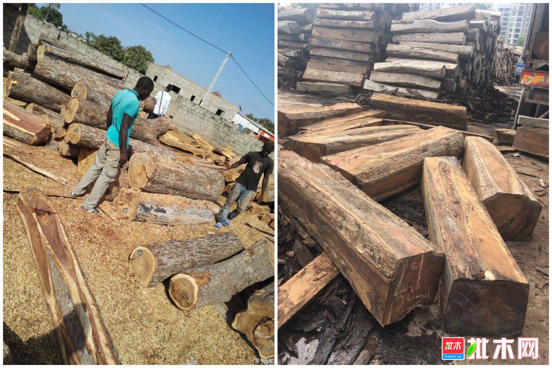 批木网anywood.com