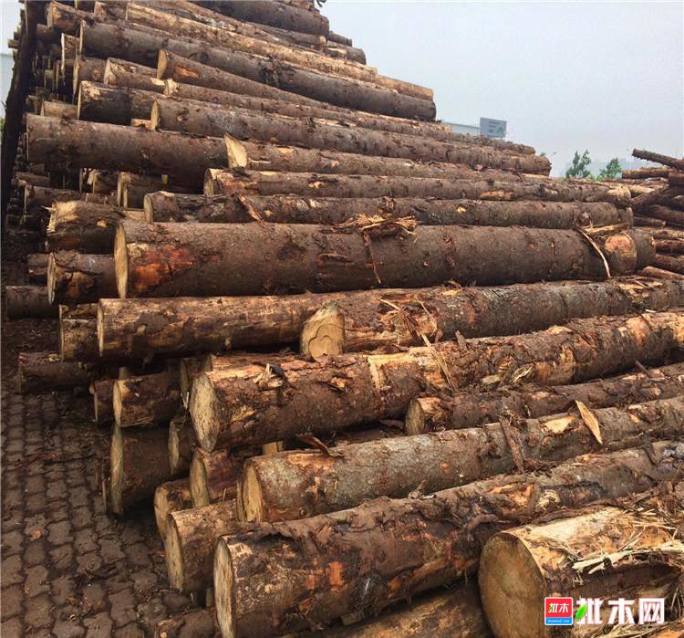 批木网anywood.com