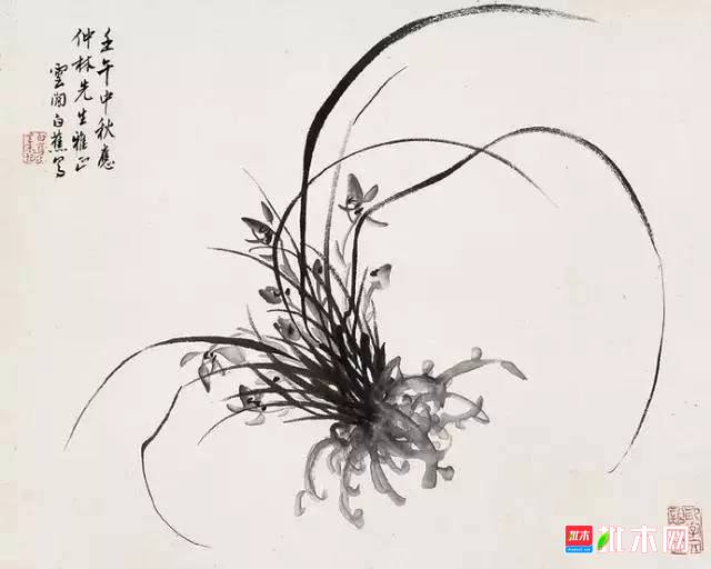 批木网 anywood.com