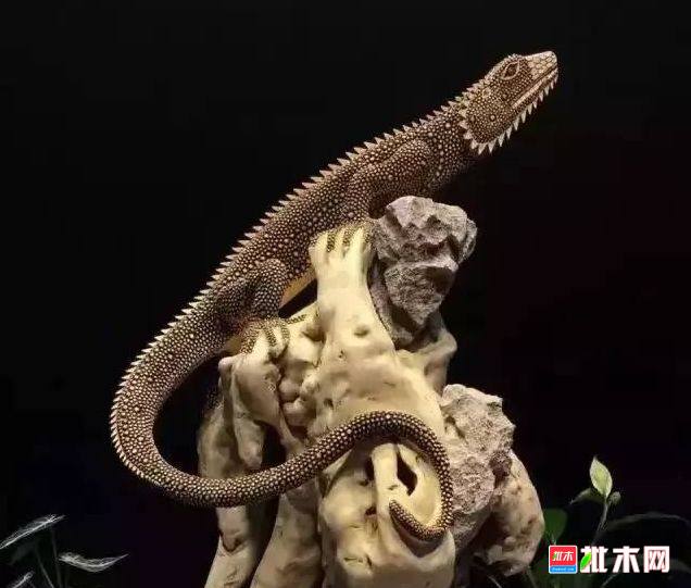 批木网 anywood.com