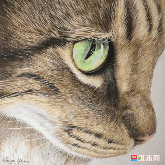批木网 anywood.com