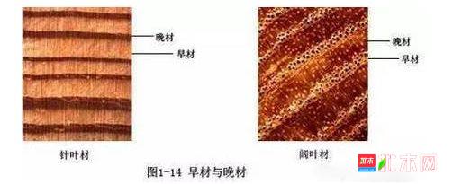 批木网 anywood.com