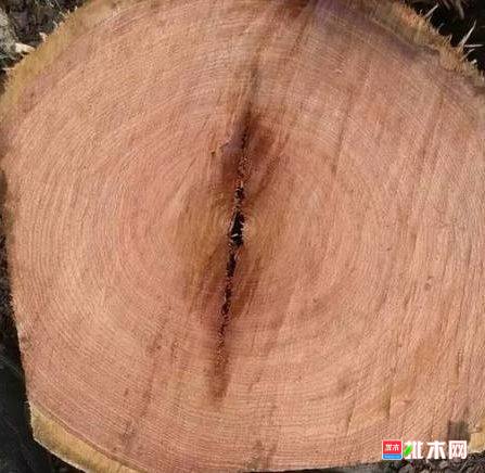 批木网 anywood.com