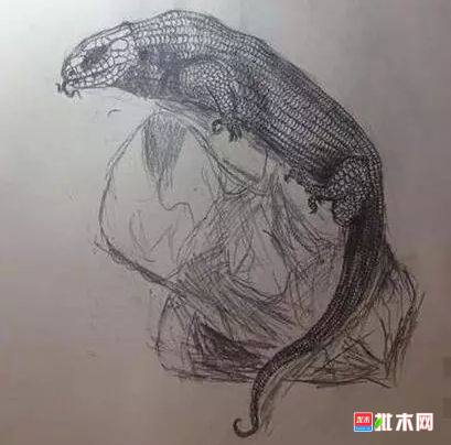 批木网 anywood.com