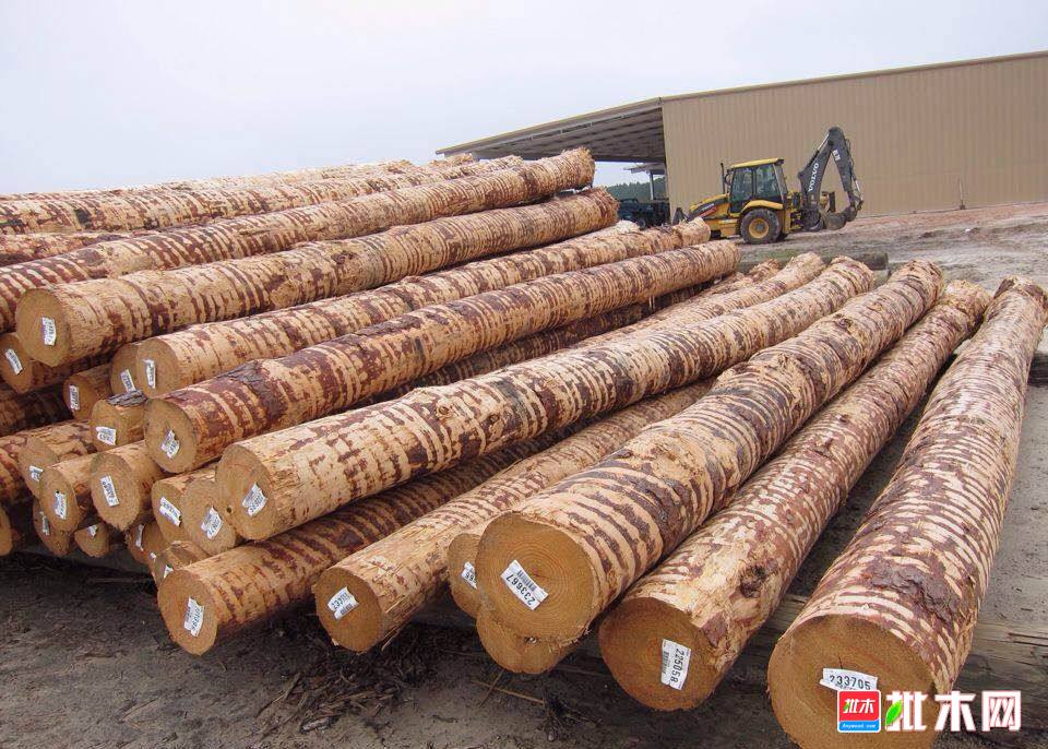 批木网anywood.com