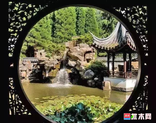 批木网 anywood.com