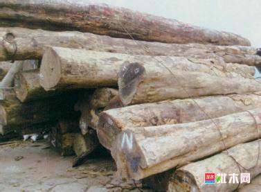批木网anywood.com