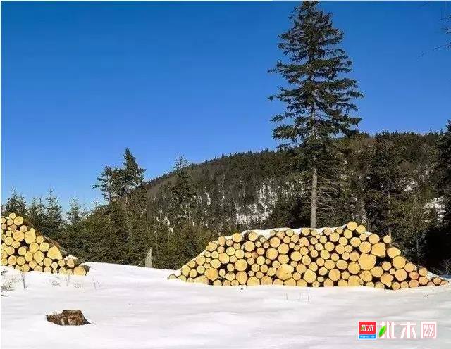 批木网anywood.com