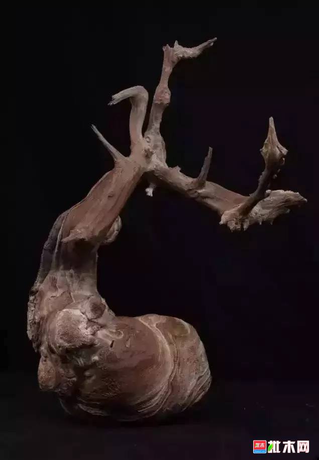 批木网 anywood.com
