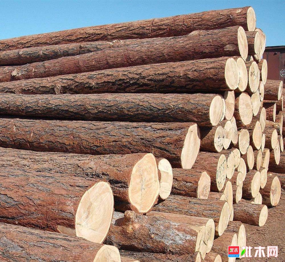 批木网anywood.com