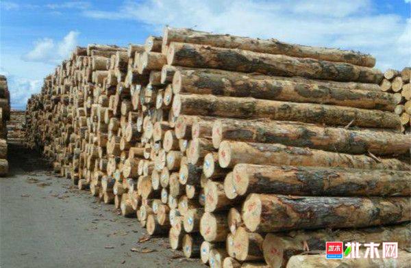 批木网 anywood.com