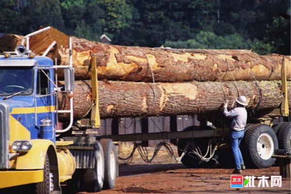 批木网 anywood.com