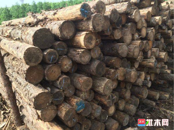 批木网 anywood.com