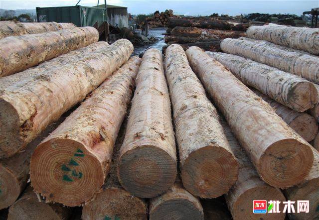 批木网anywood.com