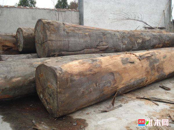 批木网 anywood.com