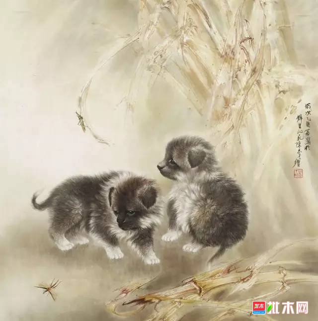 批木网 anywood.com