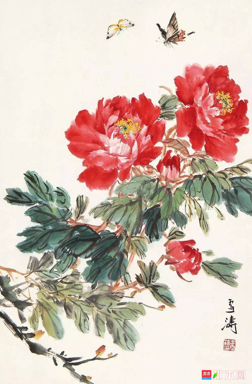 批木网 anywood.com