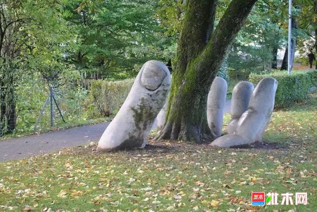 批木网 anywood.com