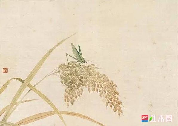 批木网 anywood.com