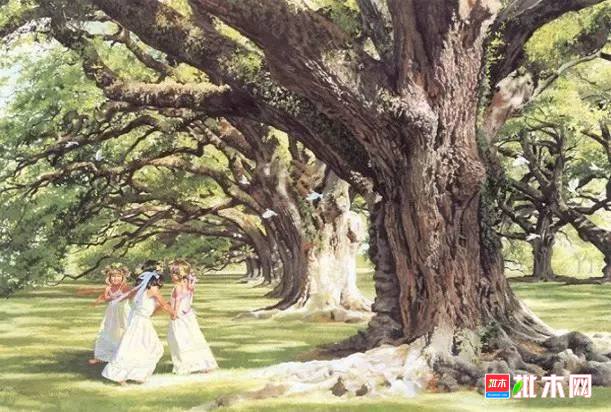 批木网 anywood.com
