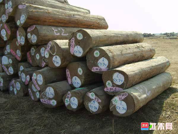批木网 anywood.com