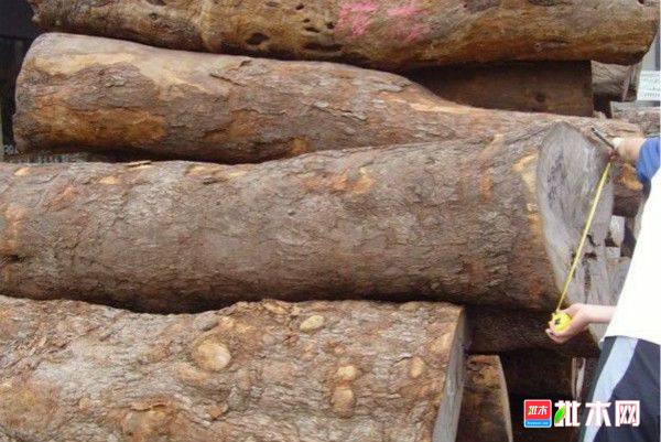 批木网 anywood.com