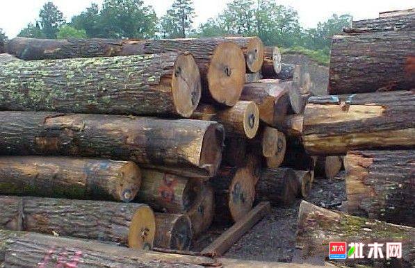批木网 anywood.com