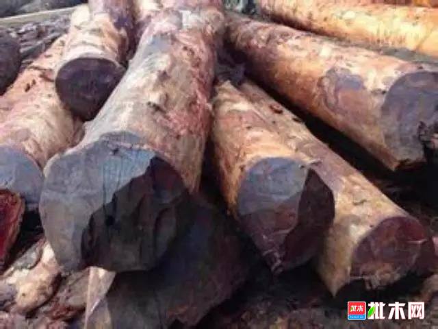 批木网 anywood.com