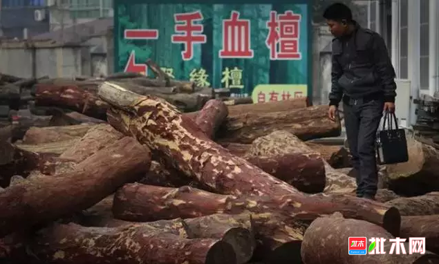 批木网anywood.com