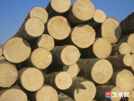 批木网 anywood.com