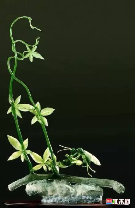 批木网 anywood.com