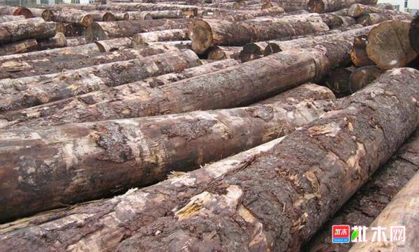 批木网 anywood.com