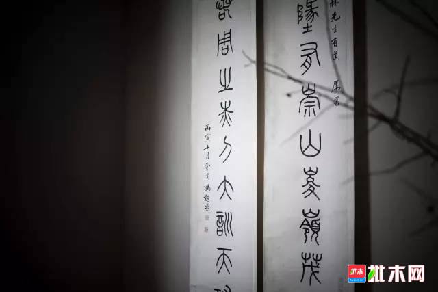 批木网 anywood.com