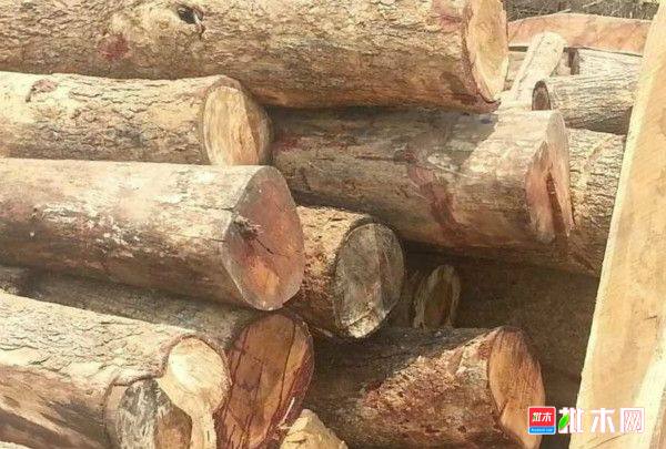 批木网 anywood.com