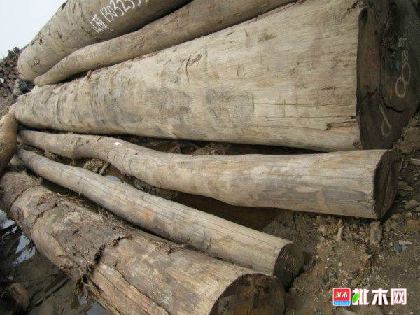 批木网 anywood.com