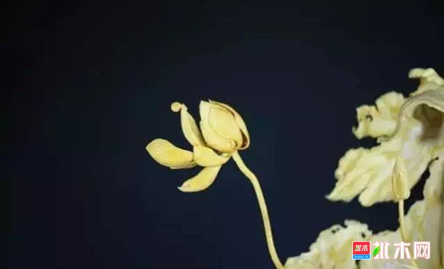 批木网 anywood.com