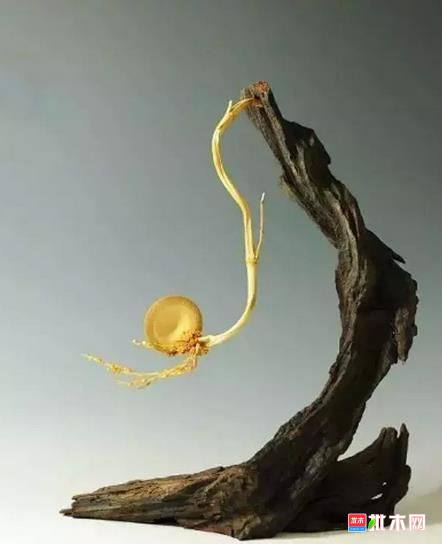 批木网 anywood.com