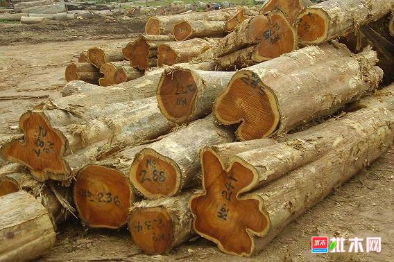 批木网 anywood.com