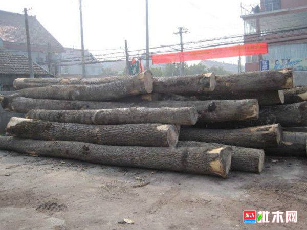批木网 anywood.com