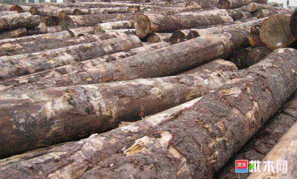 批木网 anywood.com